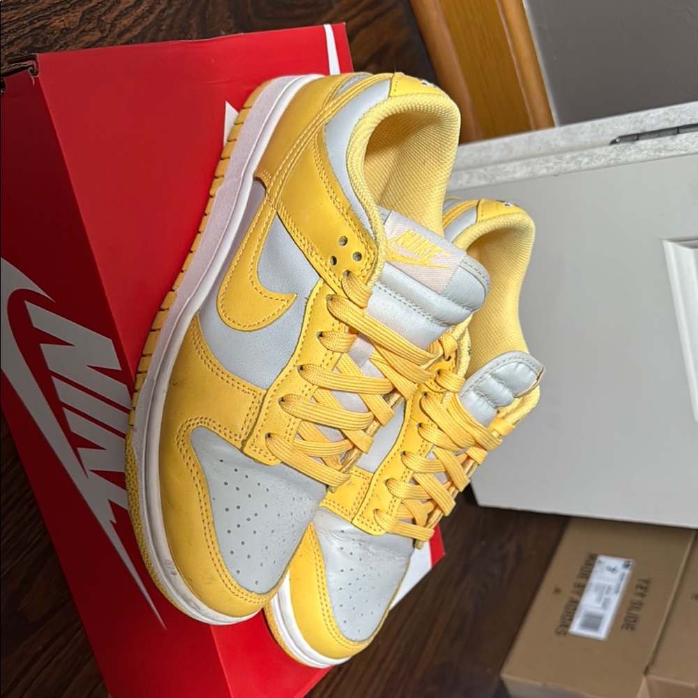 Nike DUNK LOW